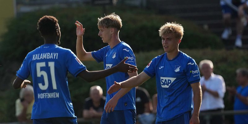 VfL Wolfsburg vs TSG Hoffenheim